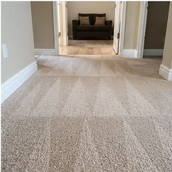 Carpet cleaning results in Seaholme VIC