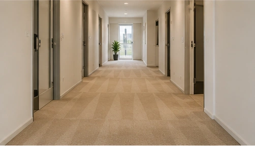 Carpet types cleaned in Seaholme